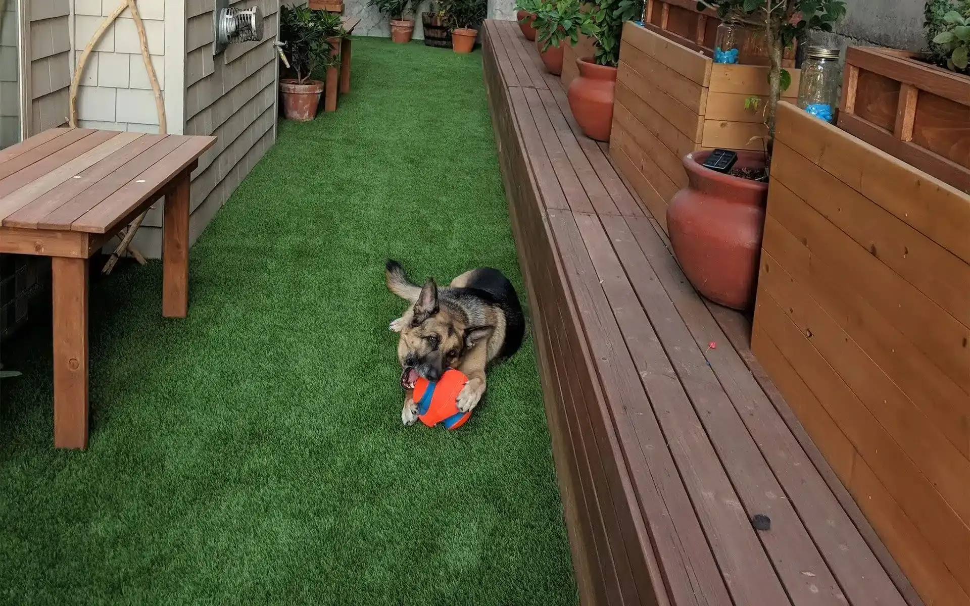 Pet Friendly Artificial Turf Installation in Deer Park, TX